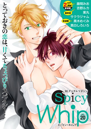 Spicy Whip vol.２０