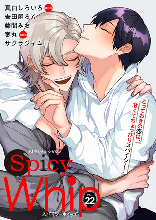 Spicy Whip vol.２２