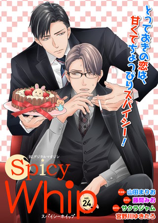 Spicy Whip vol.２４