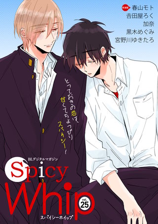 Spicy Whip vol.25