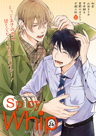 Spicy Whip vol.26