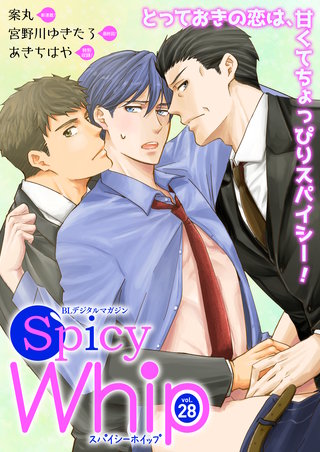Spicy Whip vol.28