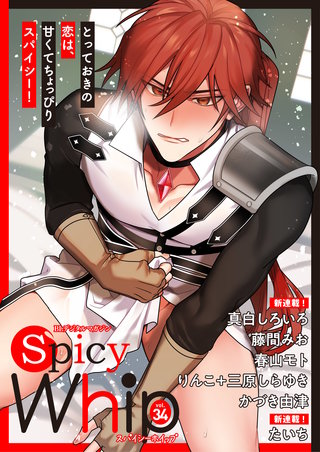 Spicy Whip vol.34