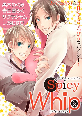 Spicy Whip vol.３