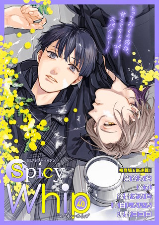Spicy Whip vol.40