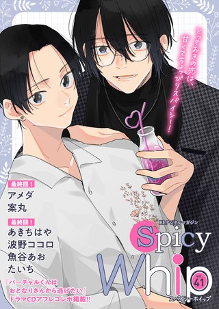 Spicy Whip vol.41
