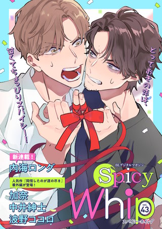 Spicy Whip vol.43