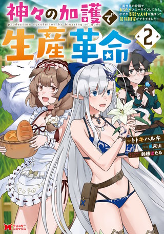 神々の加護で生産革命～異世界の片隅でまったりスローライフしてたら、なぜか多彩な人材が集まって最強国家ができてました～(コミック)(2)