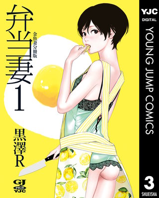 金魚妻 分冊版(3)