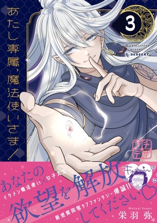 あたし専属、魔法使いさま！ プチデザ(3)