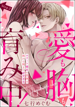 愛も胸も育み中! エリート彼氏の愛撫は隅から隅まで甘すぎる(分冊版)(2)