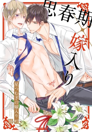 星つむぎの嫁入り(2)