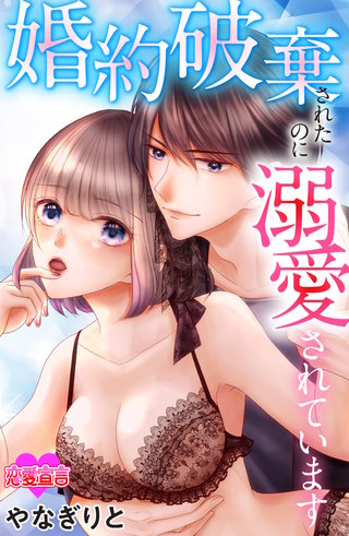 婚約破棄されたのに溺愛されています(3)