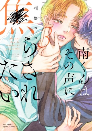 南くんはその声に焦らされたい【電子限定描き下ろし漫画付き】【コミックス版】 3巻