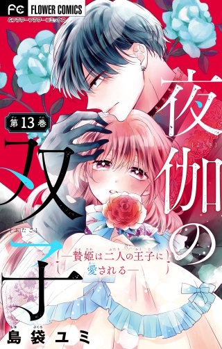 夜伽の双子―贄姫は二人の王子に愛される―【マイクロ】(13)