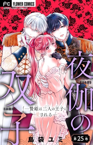 夜伽の双子―贄姫は二人の王子に愛される―【マイクロ】(25)