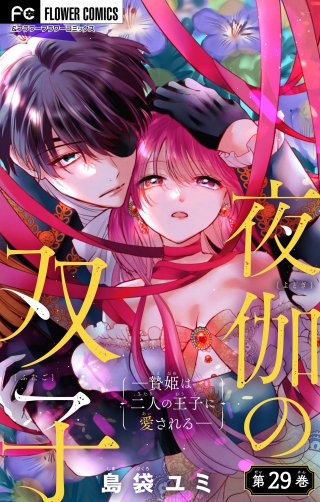夜伽の双子―贄姫は二人の王子に愛される―【マイクロ】(29)
