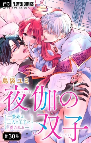 夜伽の双子―贄姫は二人の王子に愛される―【マイクロ】(30)