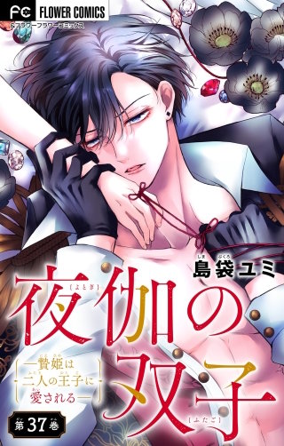 夜伽の双子―贄姫は二人の王子に愛される―【マイクロ】(37)