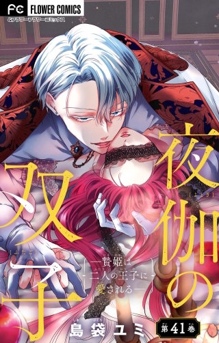 夜伽の双子―贄姫は二人の王子に愛される―【マイクロ】(41)