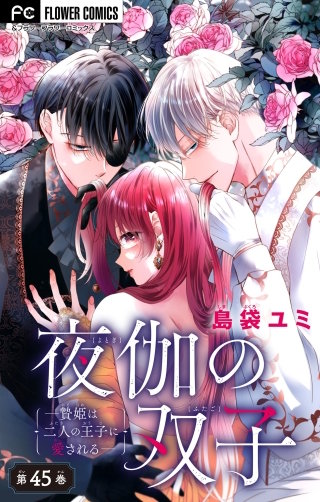 夜伽の双子―贄姫は二人の王子に愛される―【マイクロ】(45)