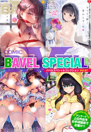 COMIC BAVEL SPECIAL COLLECTION（コミックバベル スペシャルコレクション）VOL67