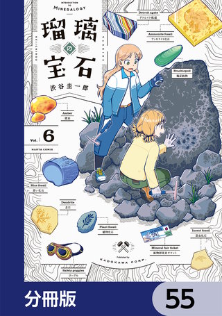 瑠璃の宝石【分冊版】　55