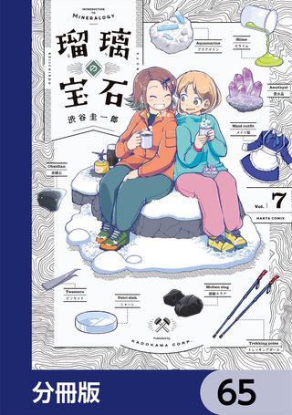 瑠璃の宝石【分冊版】　65