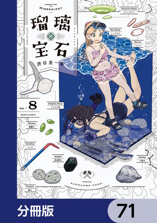 瑠璃の宝石【分冊版】　71