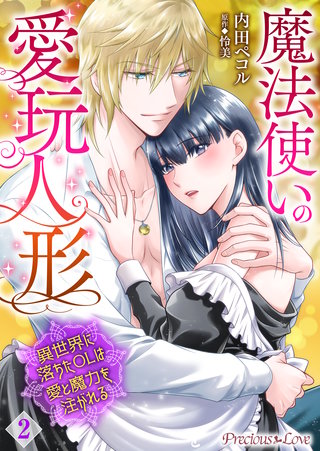 魔法使いの愛玩人形　異世界に落ちたOLは愛と魔力を注がれる(2)