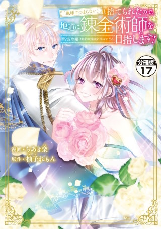 「地味でつまらない」と捨てられたので、地道に錬金術師を目指します！～堅実令嬢は婚約破棄後に幸せになる～ 分冊版(17)