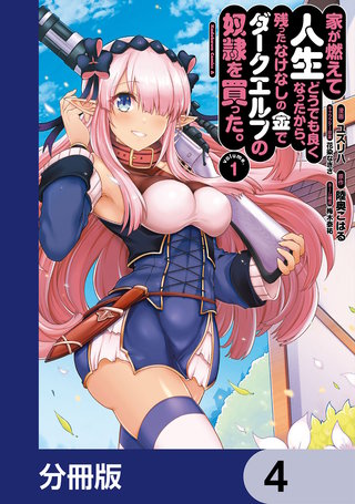 家が燃えて人生どうでも良くなったから、残ったなけなしの金でダークエルフの奴隷を買った。【分冊版】　4