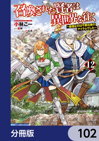 召喚された賢者は異世界を往く　～最強なのは不要在庫のアイテムでした～【分冊版】　102