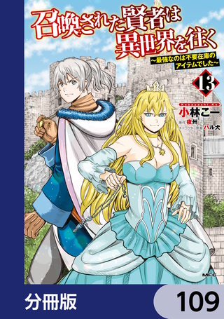 召喚された賢者は異世界を往く　～最強なのは不要在庫のアイテムでした～【分冊版】　109
