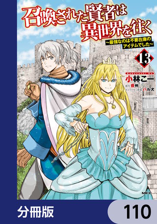 召喚された賢者は異世界を往く　～最強なのは不要在庫のアイテムでした～【分冊版】　110