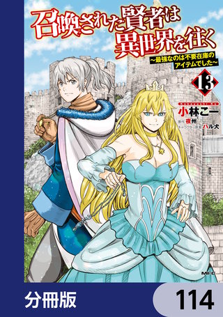 召喚された賢者は異世界を往く　～最強なのは不要在庫のアイテムでした～【分冊版】　114