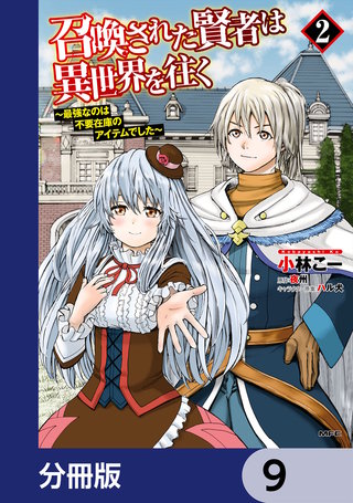 召喚された賢者は異世界を往く　～最強なのは不要在庫のアイテムでした～【分冊版】　9