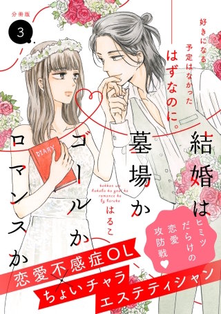 結婚は墓場かゴールかロマンスか 分冊版(3)