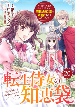 Berry'sFantasy転生侍女の知恵袋～“自称”人並み会社員でしたが、前世の知識で華麗にお仕えいたします！～(20)