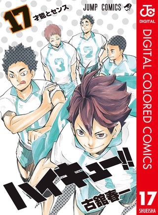 ハイキュー!! カラー版(17)