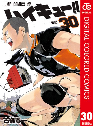 ハイキュー!! カラー版(30)