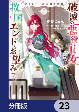 グランドール王国再生録　破滅の悪役王女ですが救国エンドをお望みです【分冊版】　23