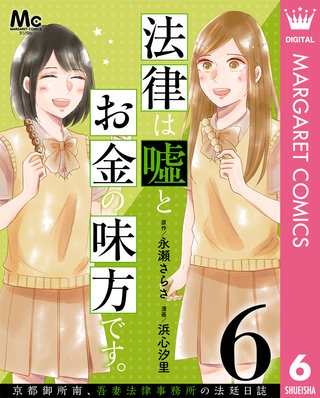 法律は嘘とお金の味方です。～京都御所南、吾妻法律事務所の法廷日誌～ 分冊版(6)