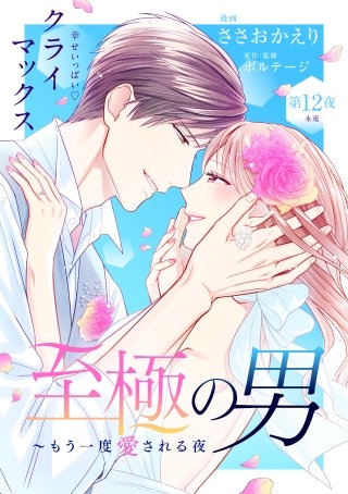 至極の男～もう一度愛される夜［comic tint］ 分冊版(12)