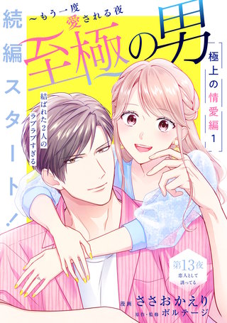 至極の男～もう一度愛される夜［comic tint］ 分冊版(13)