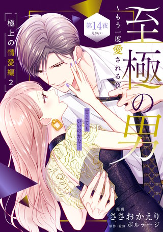 至極の男～もう一度愛される夜(3) 至極の男～もう一度愛される夜［comic tint］ 分冊版（3）｜無料