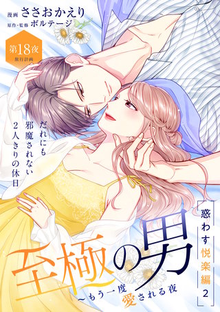 至極の男～もう一度愛される夜［comic tint］ 分冊版(18)