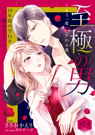 至極の男～もう一度愛される夜［comic tint］ 分冊版(7)