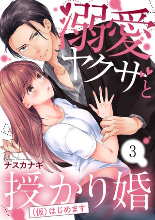 溺愛ヤクザと授かり婚(仮)はじめます3