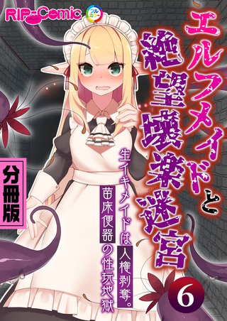 エルフメイドと絶望壊楽迷宮   ～生イキ迷子は人権剥奪。苗床便器の性玩地獄～　分冊版（６）